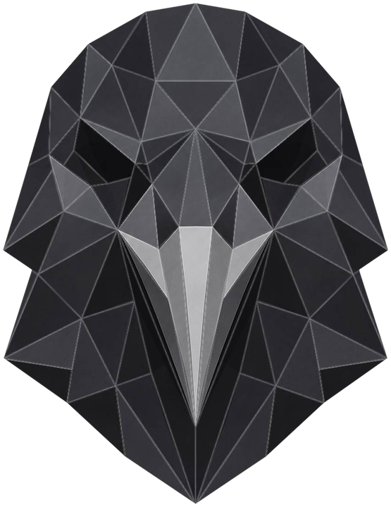 The RavenNET raven